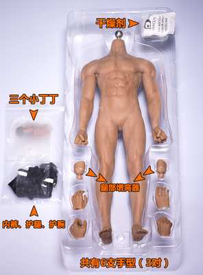 TBLeague Phicen M33 PL2016-M33 1/6 figure Male Super Flexible Seamless Body With Metal Skeleton
